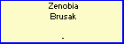 Zenobia Brusak