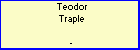 Teodor Traple